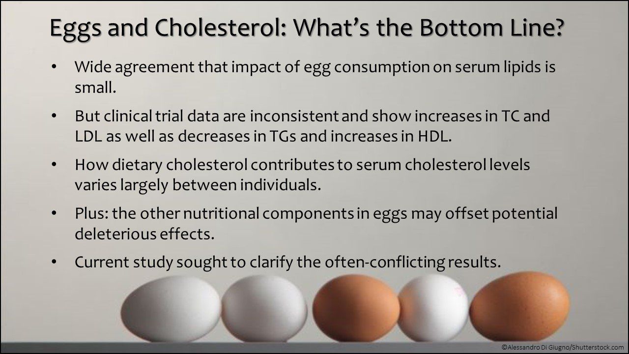 Effects Of Eggs On Blood Lipids A New Look At The Evidence