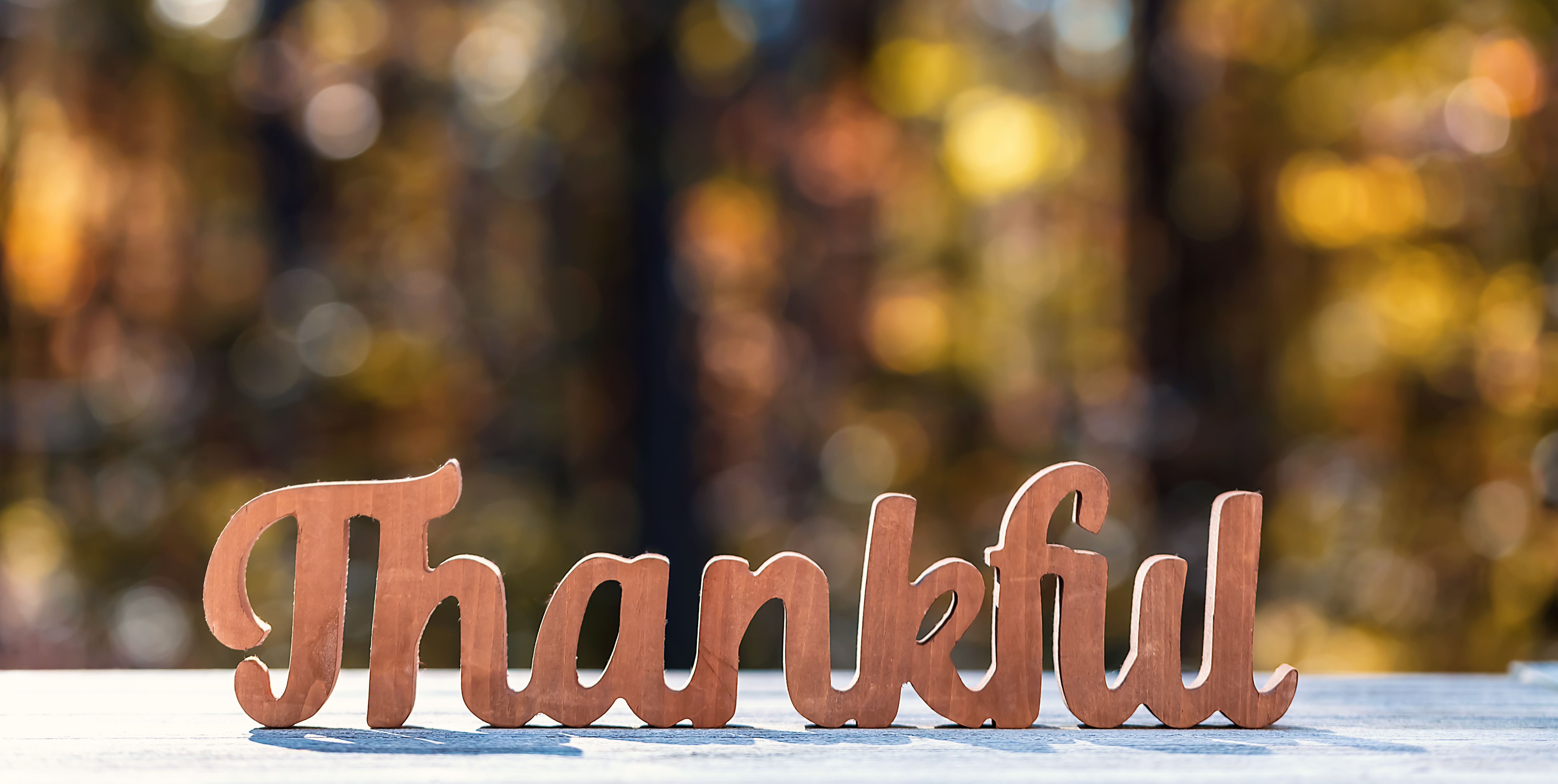 Giving Thanks to Those Who Furthered My Career - Vimarsana News