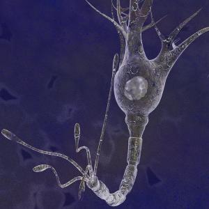neurocognitive disorders