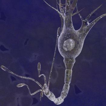 neurocognitive disorders