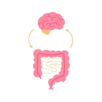 gut brain