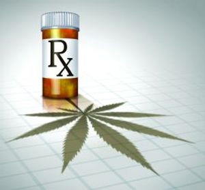 Lightspring-Shutterstock.com