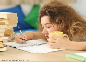 © ANTONIO GUILLEM/SHUTTERSTOCK.COM