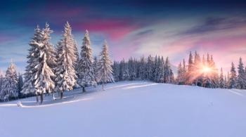 winter