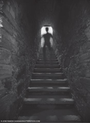 © JOSE RAMON CAGIGAS/SHUTTERSTOCK.COM