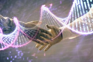 Volunteer Activity as a Strategy in the Healing Process