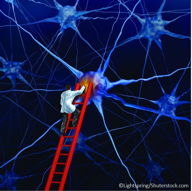 Lightspring-Shutterstock.com