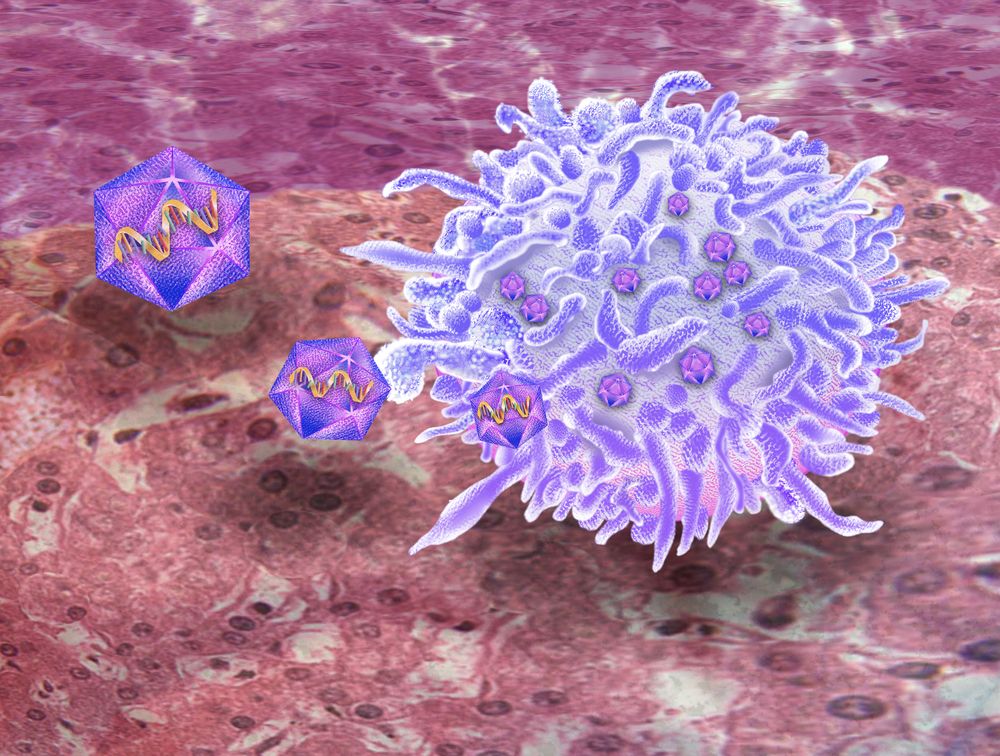 HIV ©chris-bjornberg/shutterstock