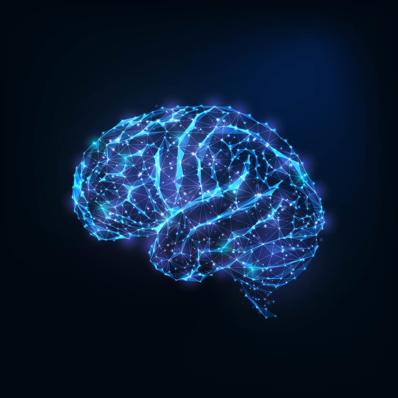 Digital brain