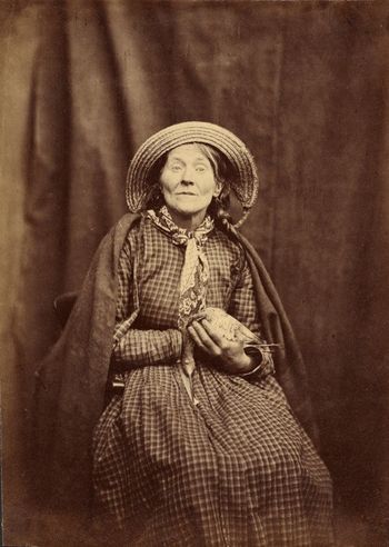 Hugh Welch Diamond, “Plate 27 [Seated Woman with a Bird],” (ca. 1855) Digital image courtesy of the Getty's Open Content Program.