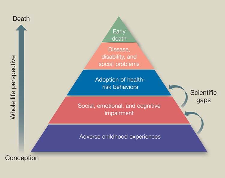 Adverse childhood experiences pyramid.