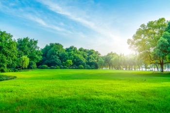 outdoors sunshine