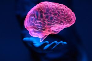 brain schizophrenia