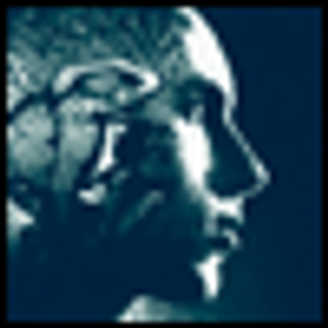 Mixed States in Their Manifold Forms: Part 2