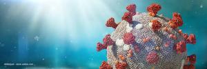 coronavirus, risk,, depression