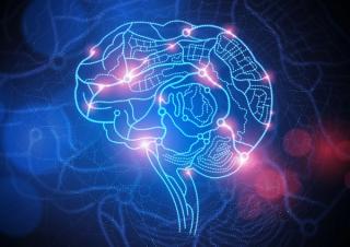 Fragile X Syndrome 