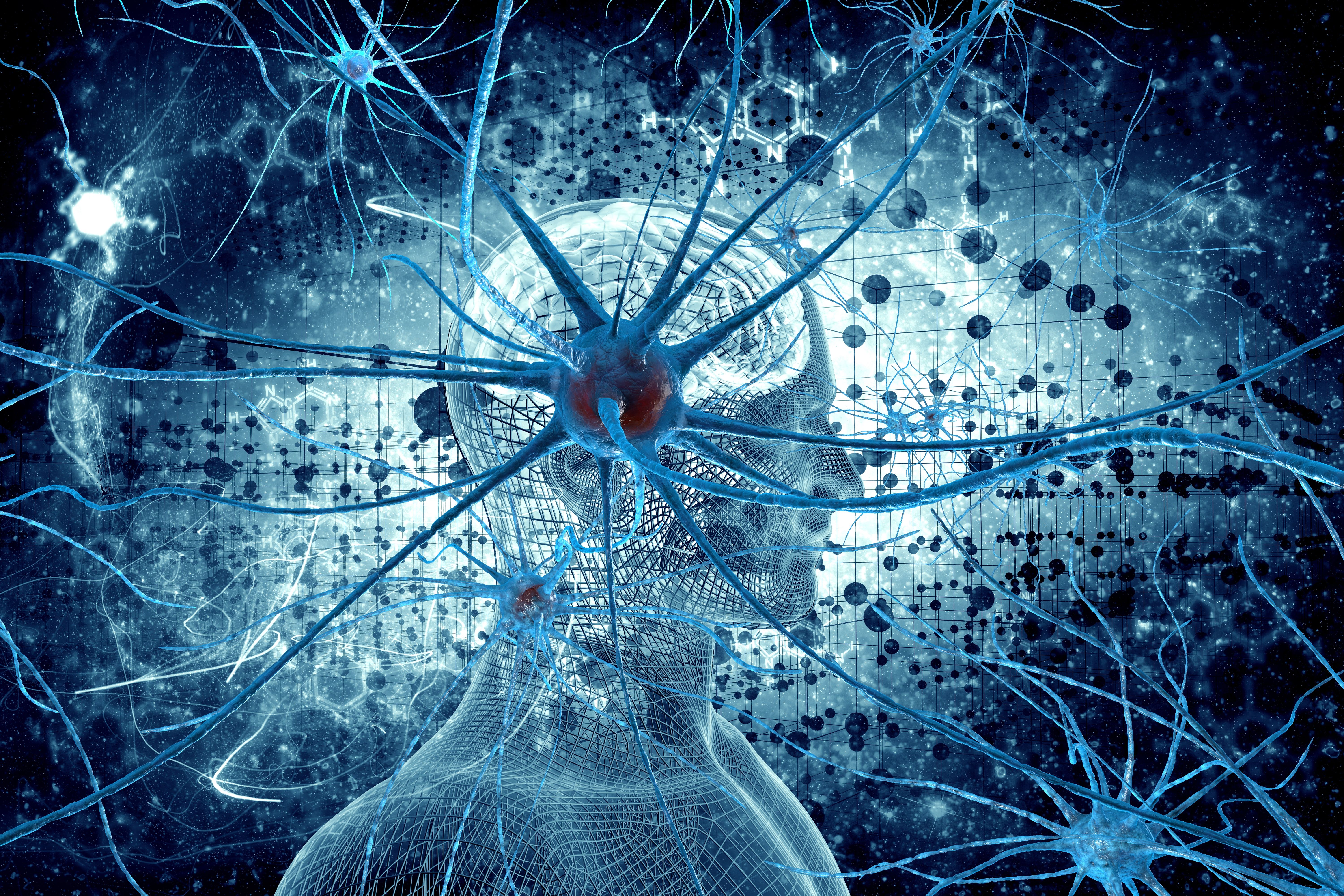 neuropsychiatry, alzheimer