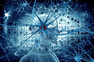 neuropsychiatry, alzheimer