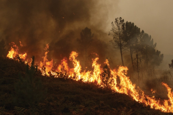 Climate change and it's correlation with anxiety, depression, and suicide