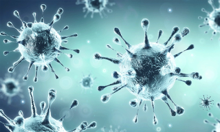 Addressing Critical Questions About COVID-19