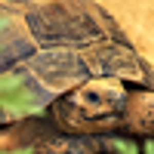 Insurance Practices: This Insanity Must Stop