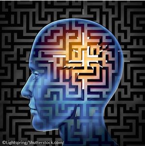 ©Lightspring/Shutterstock