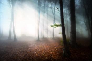 A Breath of fresh air 