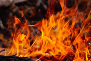 Rising From the Ashes of Oppression