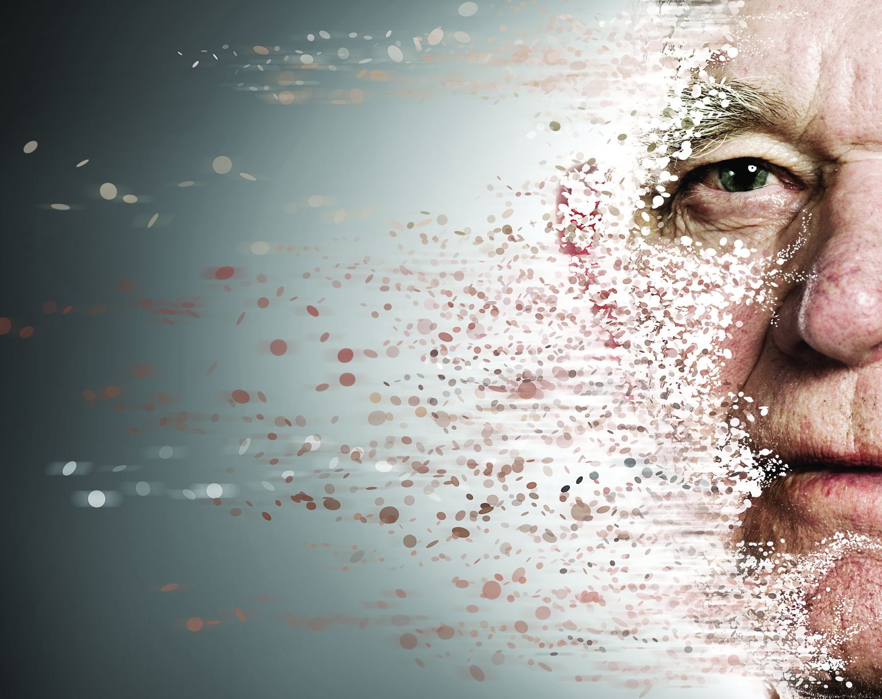 ©NejronPhoto/Shutterstock