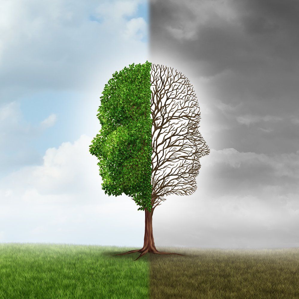  ©Lightspring/shutterstock.com