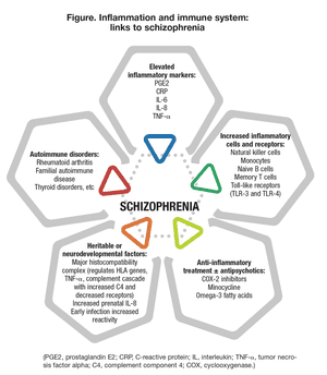 Inflammation, Immune Function, and Schizophrenia: An Overview