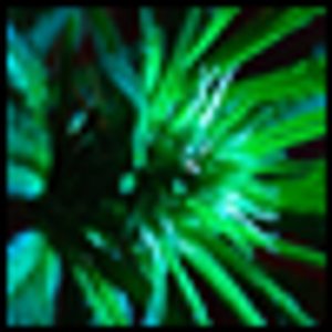 The Cannabis-Psychosis Link