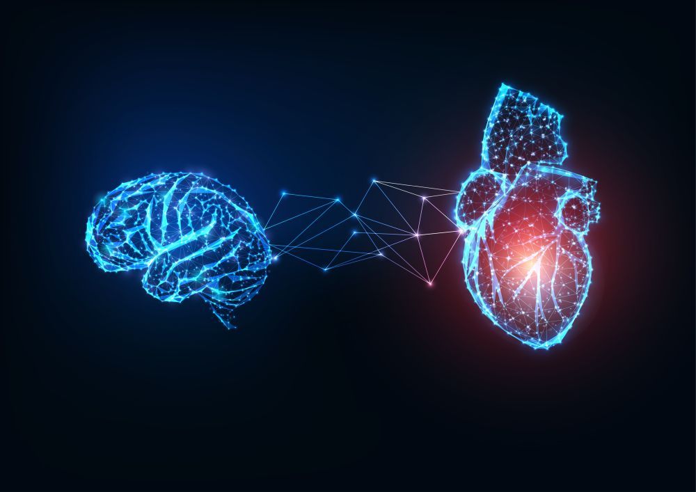 heart, brain, connection