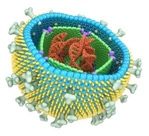 Is Epstein-Barr Virus to Blame for Cognition in Schizophrenia?
