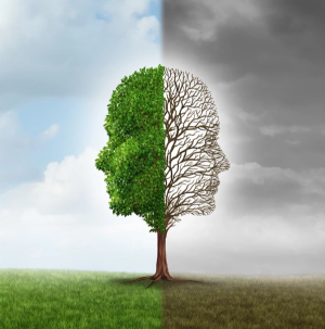 Tree in summer and winter