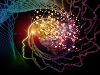 What Are the Neuroscientific Secrets to Successful Psychotherapy?