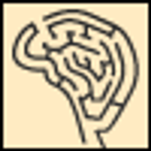 Chronic Disease Self-Management Programs in Psychiatry