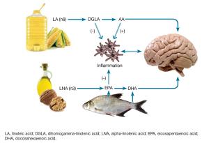 Fat, Food, and Mood: Beyond Omega-3s
