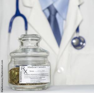 William Casey/ Shutterstock.com