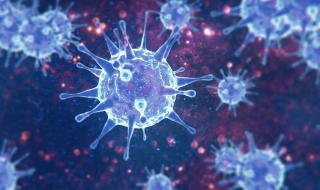 Psychological and Spiritual Reflections on the COVID-19 Pandemic