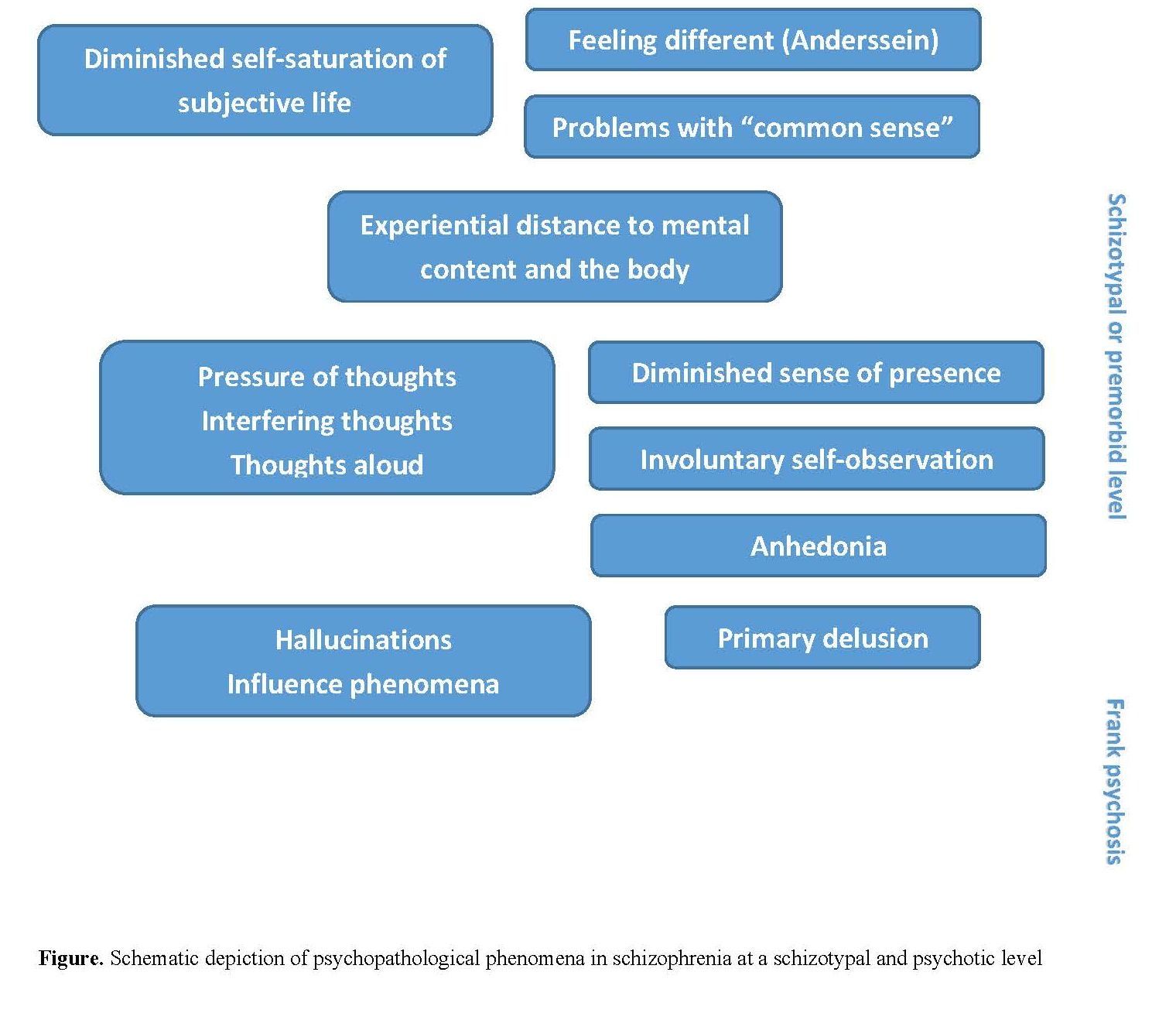 Schematic depiction of psychopathological phenomena in schizophrenia at a schizotypal and psychotic level 