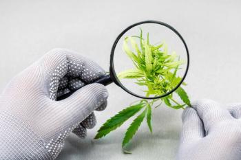 cannabis