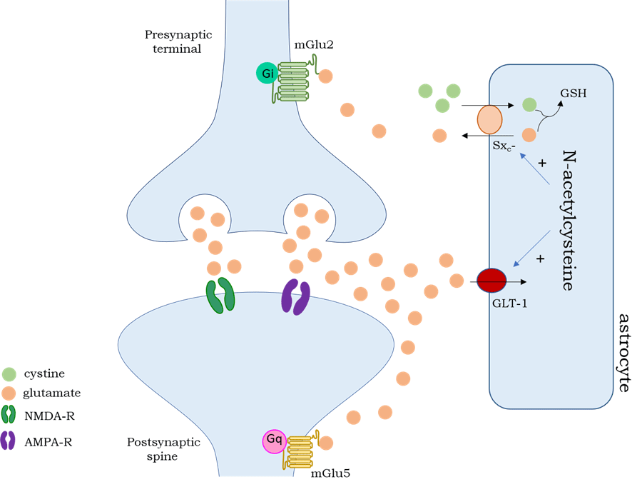 Exploring N-Acetylcysteine in Psychiatry | Psychiatric Times