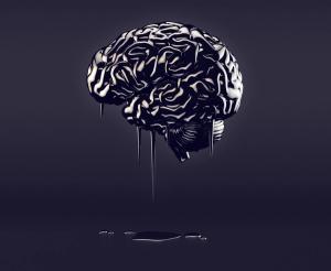 Smart Growth: the Case for Measuring Brain Capital