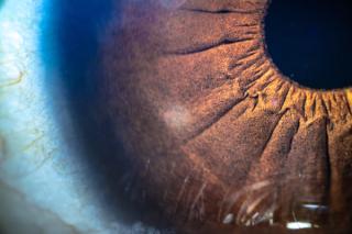 Emerging Psychedelic Therapies