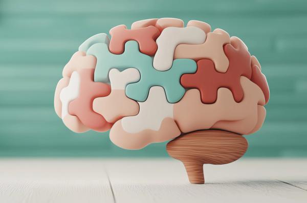 integrative care brain