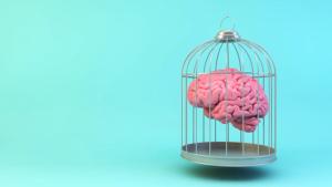 Prisoner of the Brain: Recognizing the Serious Implications of Catatonia