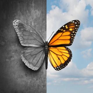 Delirium: Criteria, Consequences, and Risk Factors