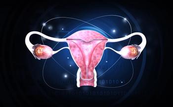 uterus