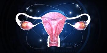 uterus